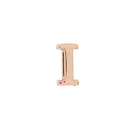 Charm Rue des Mille Carousel in Argento XR-I - XR-I
